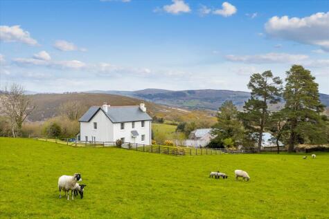 Holne, Newton Abbot, Devon, TQ13.
