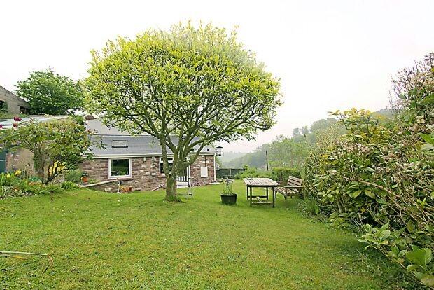 Garden.