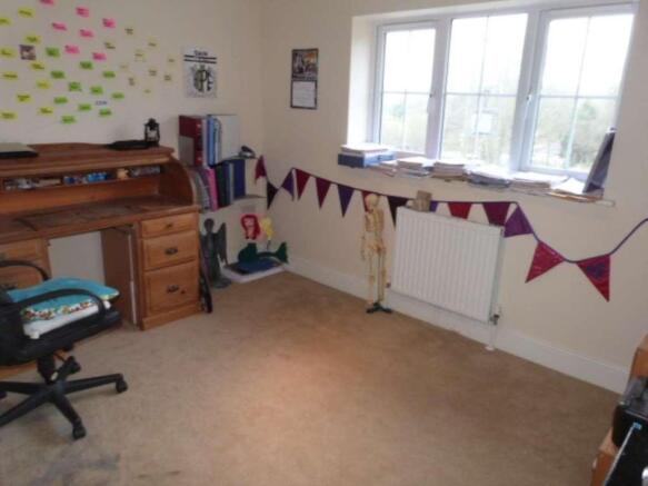 Photo 5