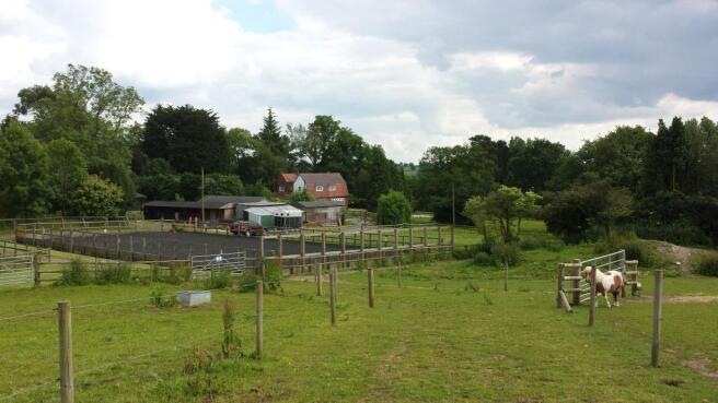 Rear/Fields
