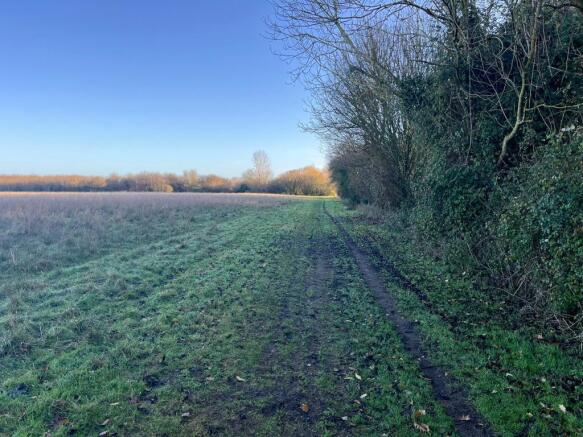 Southern Boundary 2