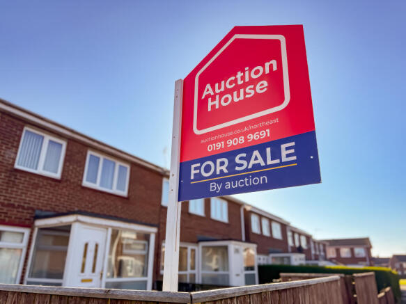 IMG 5422 T202604081910.jpg