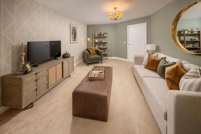 Show home living room