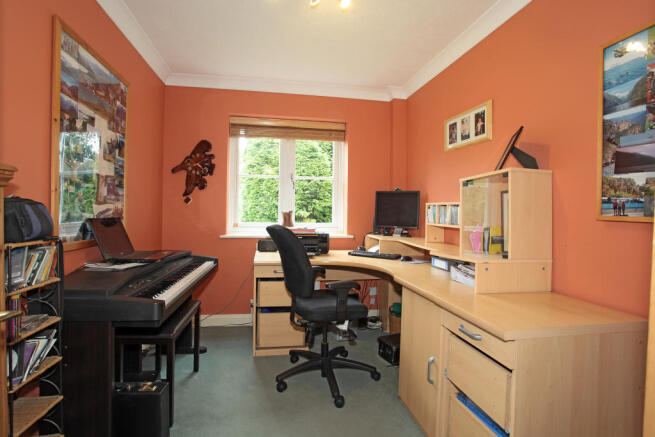 Photo 12