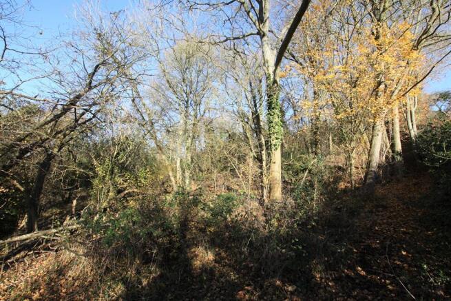 Wooded Coppice