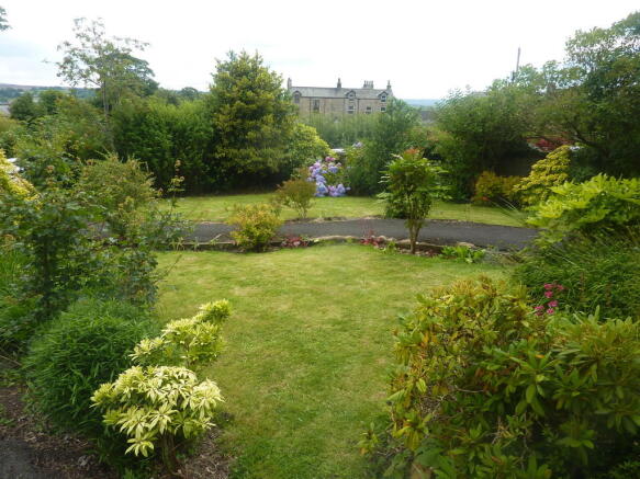 Photo 12