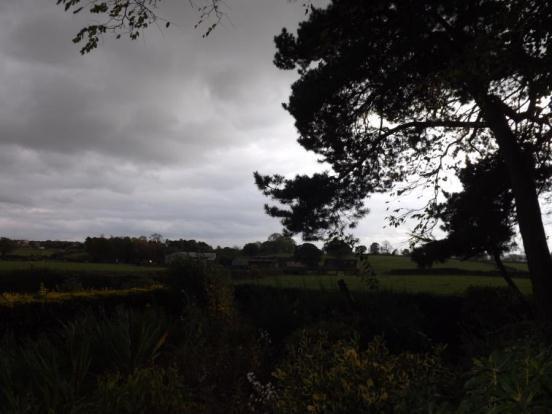 View Over Open Land