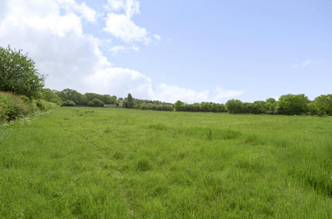 853501  (16)c.jpg