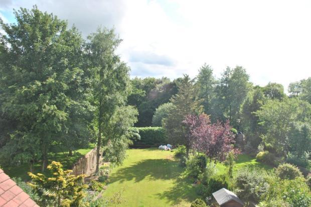 Garden & View