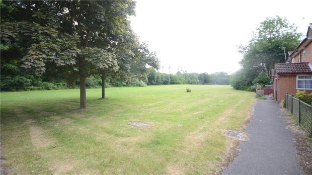 Green Area