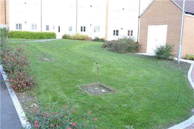 Communal Gardens