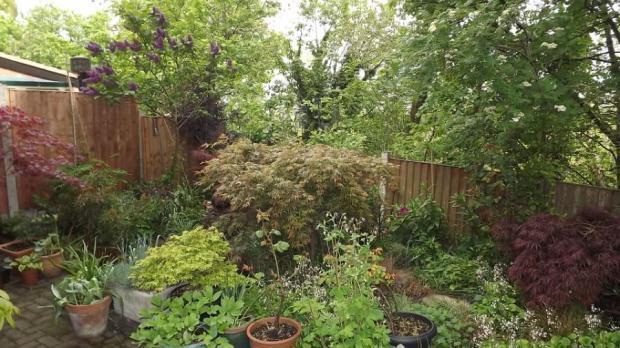 Garden 3