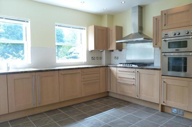 Stylish Kitchen