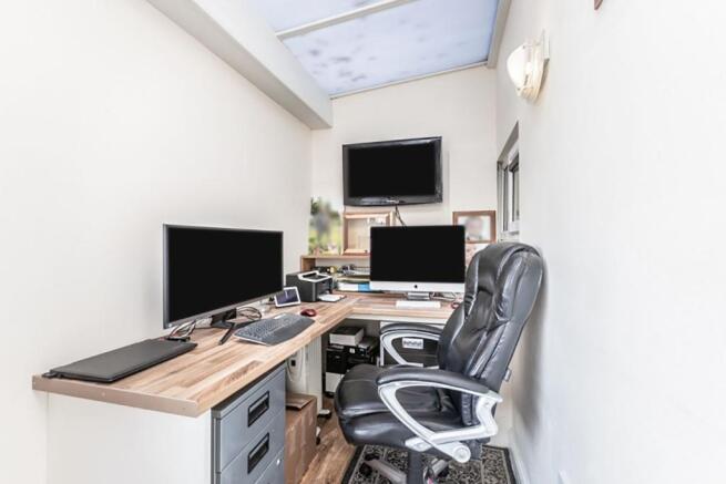 Study Area