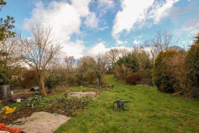 Veg Plot and Gardens.jpg