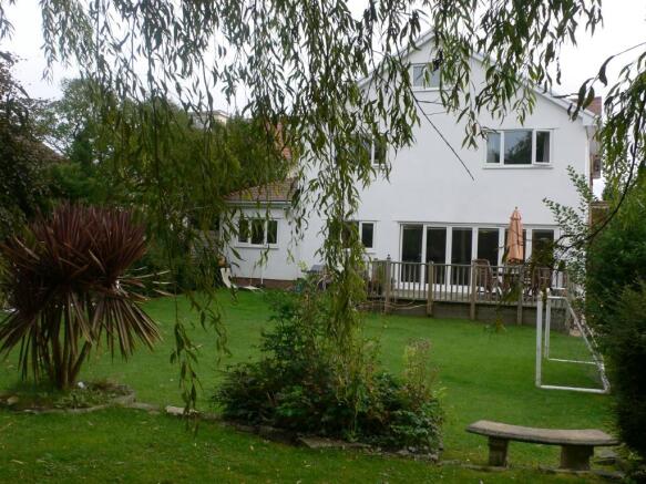 Rear of Property