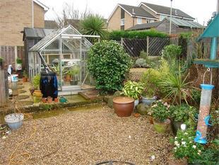 Garden 2