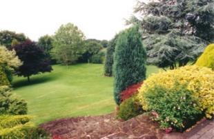 The Garden