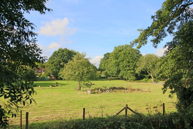 Nearby Fields and Animals