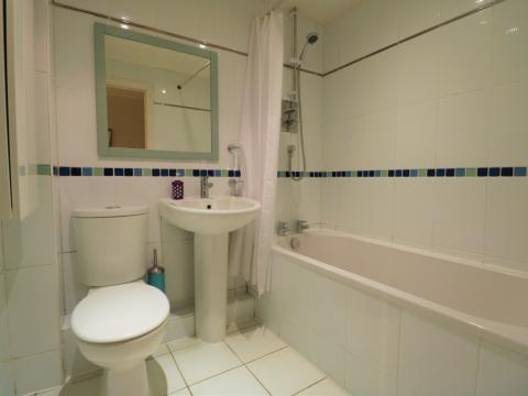Picture 7