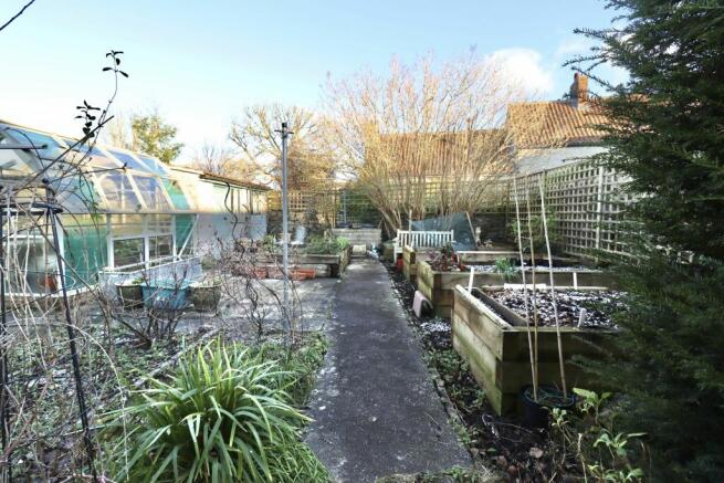 Vegetable Patch