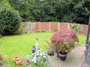 Large garden