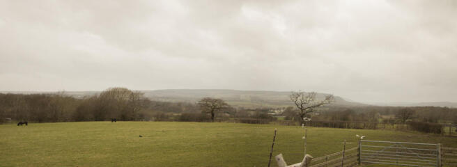 Extra image 16