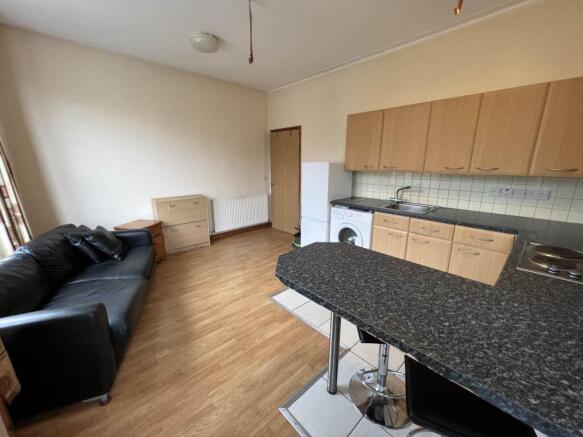 Kitchen/Living Area