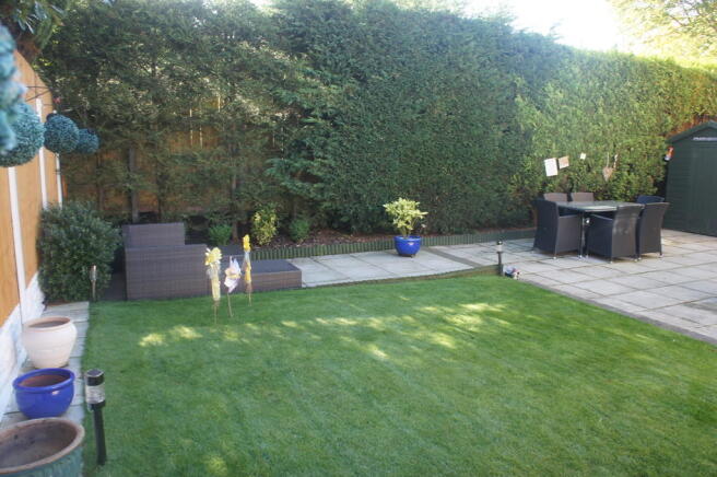 Photo 15