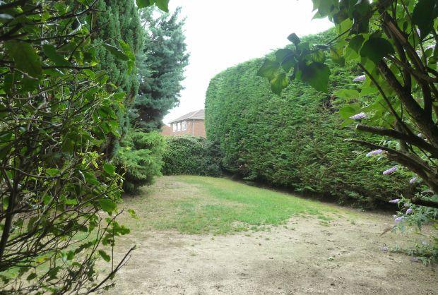 Side Garden