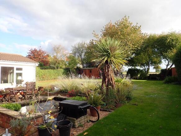 Garden 2