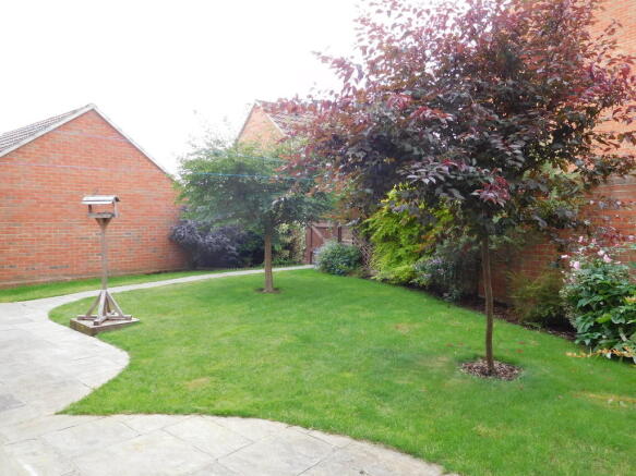 Photo 4