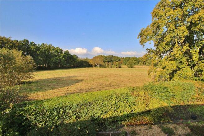View From Bedroom