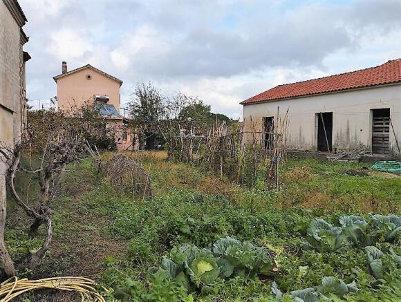 House & Garden