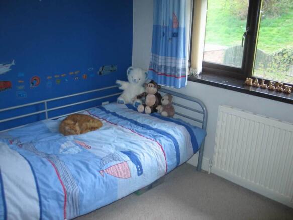 Photo 11