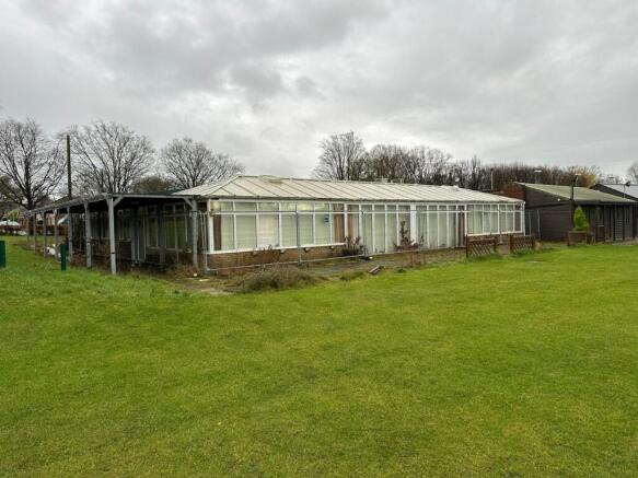 Picture3  Medium  T202603061038.jpg