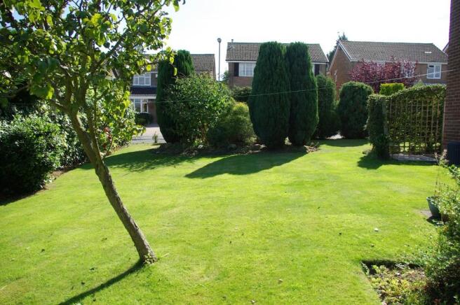 Side Garden