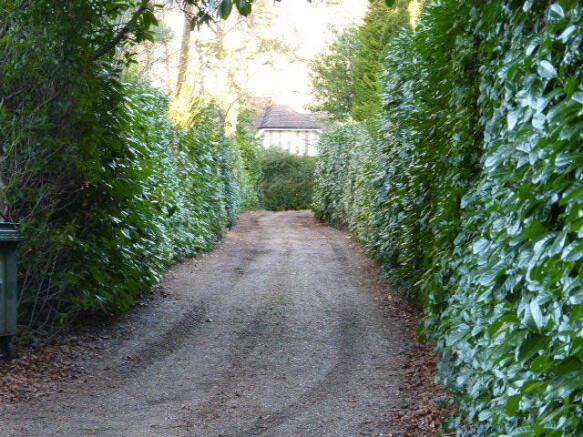 Photo 9
