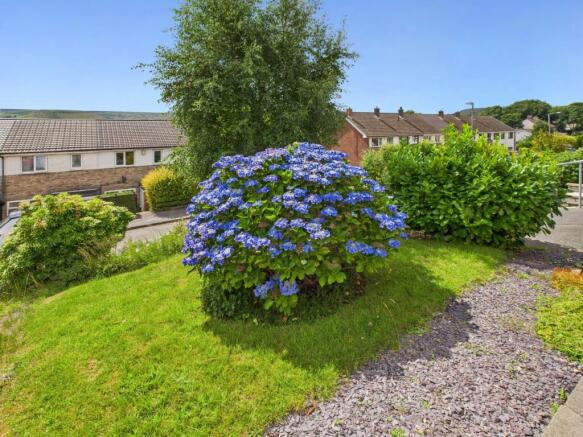 Front Garden