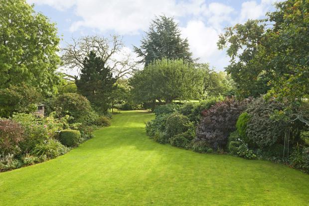 Picture No.13