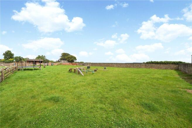 Paddock Grassland