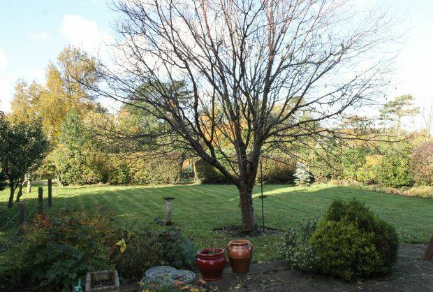 Gardens
