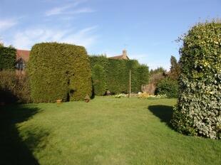 Back Garden