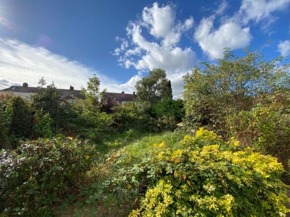 HUGE 20M GARDEN