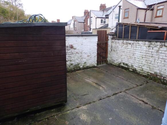 Rear Yard.JPG