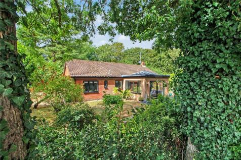 Old Hall Park, Seething, Norwich, Norfolk, NR15