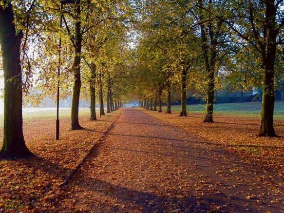 Walk Through H...