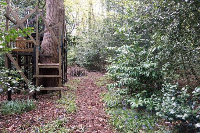 Woodland