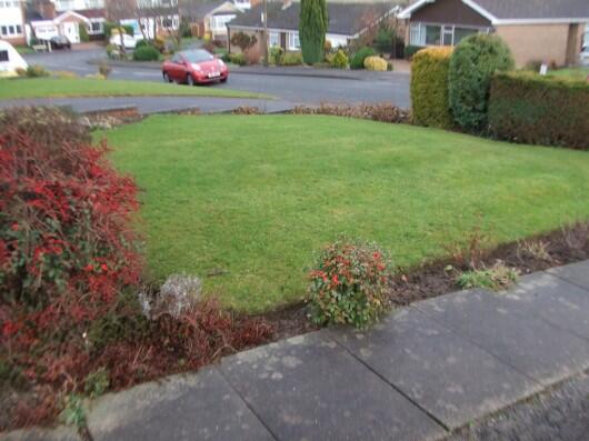 front garden