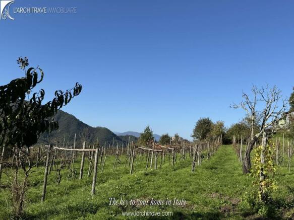 IMG_8457.jpg